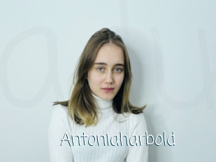Antoniaharbold