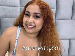 Antoniedupont
