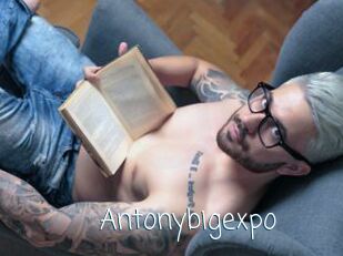 Antonybigexpo