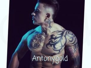 Antonygold