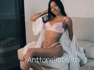 Anttonellabella