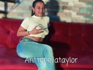 anttonellataylor Adult o Porn