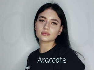 Aracoote