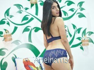 arielnorris Adult o Porn