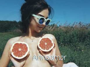 Arinaamor