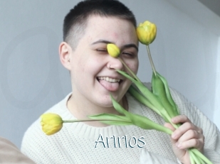 Aririos