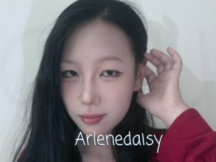 Arlenedaisy