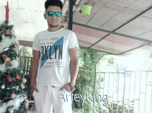 Arleyking