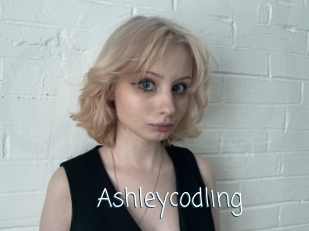 Ashleycodling