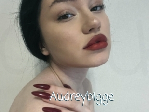 Audreybigge