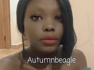 Autumnbeagle