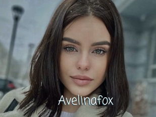 Avelinafox