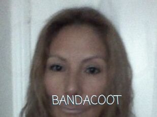 BANDACOOT