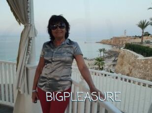 BIGPLEASURE