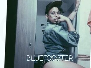 BLUEFOOSTER
