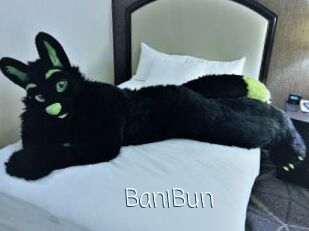 BaniBun