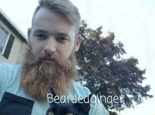 Beardedginger