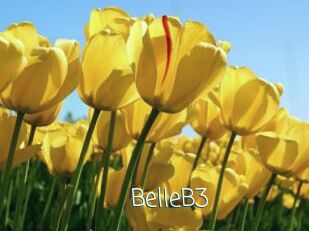 BelleB3