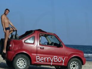 BerryBoy