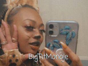 BigTitMonaje