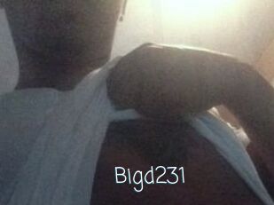 Bigd231 Adult o Porn