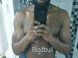 Bigdbull