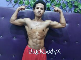 BlackBodyX