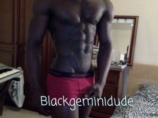 Blackgeminidude