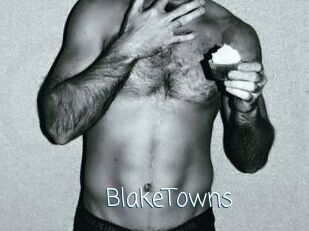 BlakeTowns