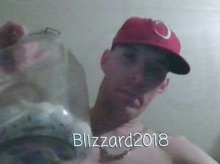 Blizzard2018