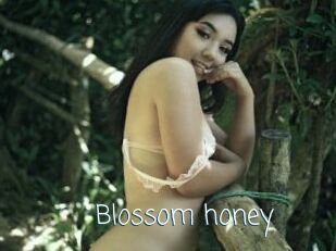 Blossom_honey