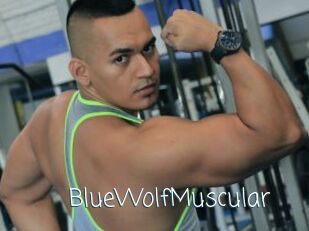 BlueWolfMuscular