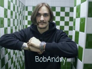 BobAndry