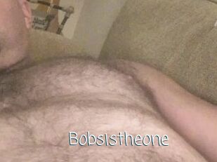 Bobsistheone