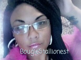 BougieStallionest