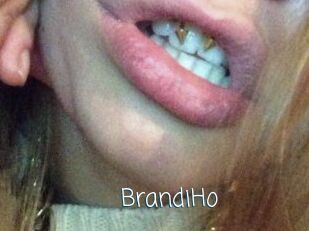 BrandiHo