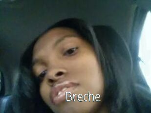 Breche