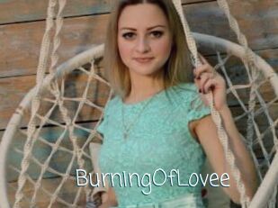 BurningOfLovee