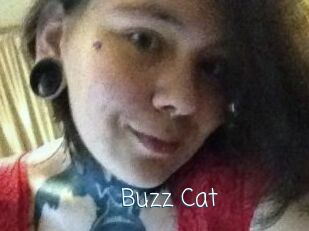 Buzz_Cat