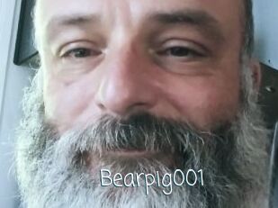 Bearpig001
