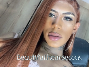 Beautifullhoursecock