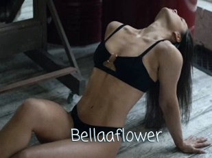 Bellaaflower