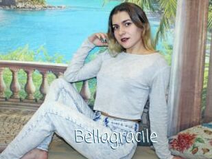 Bellagracile