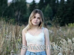 Berniecelittleb