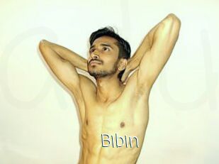 Bibin