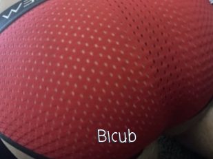 Bicub