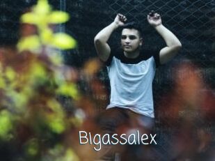 Bigassalex