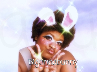 Bigcinnabunny