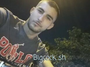 Bigcock_sh