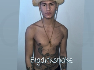 Bigdicksnake